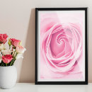 Search for soft pink roses posters Watercolor