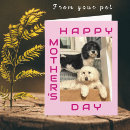 Search for pet mothers day cards Dog