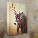 Search for whitetail canvas prints Autumn