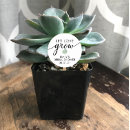 Search for succulent bridal shower stickers Let love grow