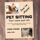 Search for pet sitting flyers Business
