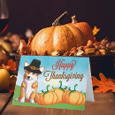 Search for corgi thanksgiving Pembroke welsh corgi
