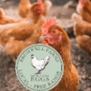Search for farm Fresh eggs