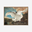 Search for jan posters Dutch golden age