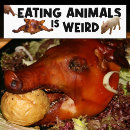 Search for weird bumper stickers Vegan