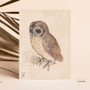 Search for little owl postcards Albrecht durer