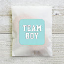 Search for gender reveal team boy stickers Party