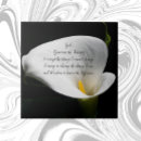 Search for arums Floral