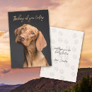Search for dog death cards Sorry for your loss