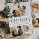 Search for winter berries christmas cards Modern