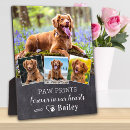 Search for photo pet memorials Remembrance