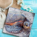 Search for sea turtles puzzles Hawaii