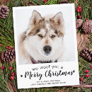Search for bulk seasonal cards Cute