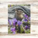 Search for squirrel puzzles Rodent