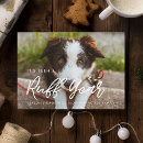 Search for funny dog new years cards Happy new year