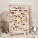 Search for fungi posters Fall