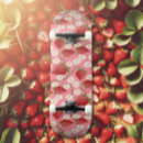 Search for patch skateboards Fruit