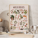 Search for vintage biology posters Botanical