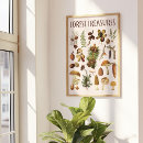Search for treasure art Vintage