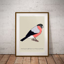 Search for bullfinch posters Bird