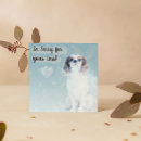 Search for angel dog loss pet sympathy cards Condolences