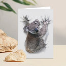 Search for koala thank you cards Animal