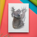 Search for cute koala postcards Funny