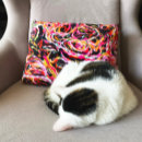 Search for funky colours cushions Bold