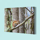Search for tree bark canvas prints Forest