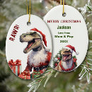 Search for rex christmas tree decorations Boy