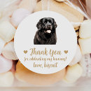 Search for newfoundland dog stickers Newfie