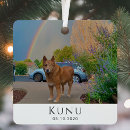 Search for pet memorials Forever in our hearts