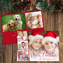 Search for photo strip christmas cards Modern