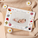 Search for photo ladybug invitations Floral