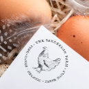 Search for free range Fresh eggs