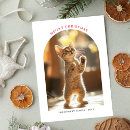 Search for funny cat image cards Red