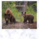 Search for bouldering postcards Nature
