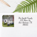 Search for lamb return address labels Watercolor