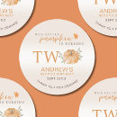 Search for two pumpkins stickers Orange