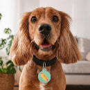 Search for dog tags Colourful