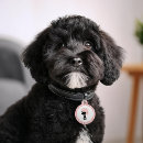 Search for breeds pet supplies Puppy