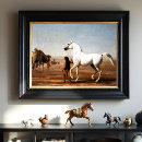Search for horse anatomy posters Vintage