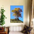 Search for autumn trees canvas prints Fall