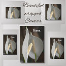 Search for white lily canvas prints Elegant