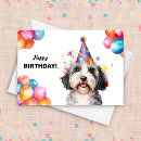 Search for havanese dog cards Cute