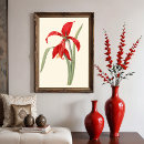 Search for vintage botanical illustration posters Nature
