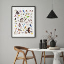Search for ornithologist posters Birdwatcher