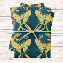Search for luna moth Butterfly