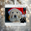 Search for dog photo christmas tree decorations My first christmas