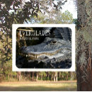 Search for alligators magnets Everglades national park
